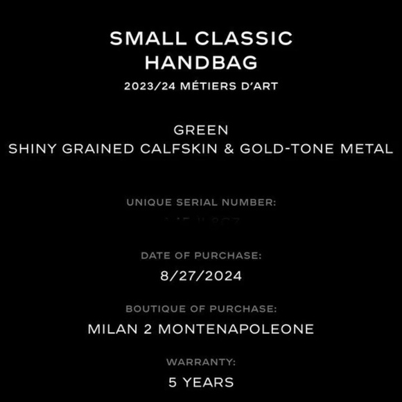 Chanel small flap bag grained lambskin emerald green 2024 RARE - Picture 4 of 5